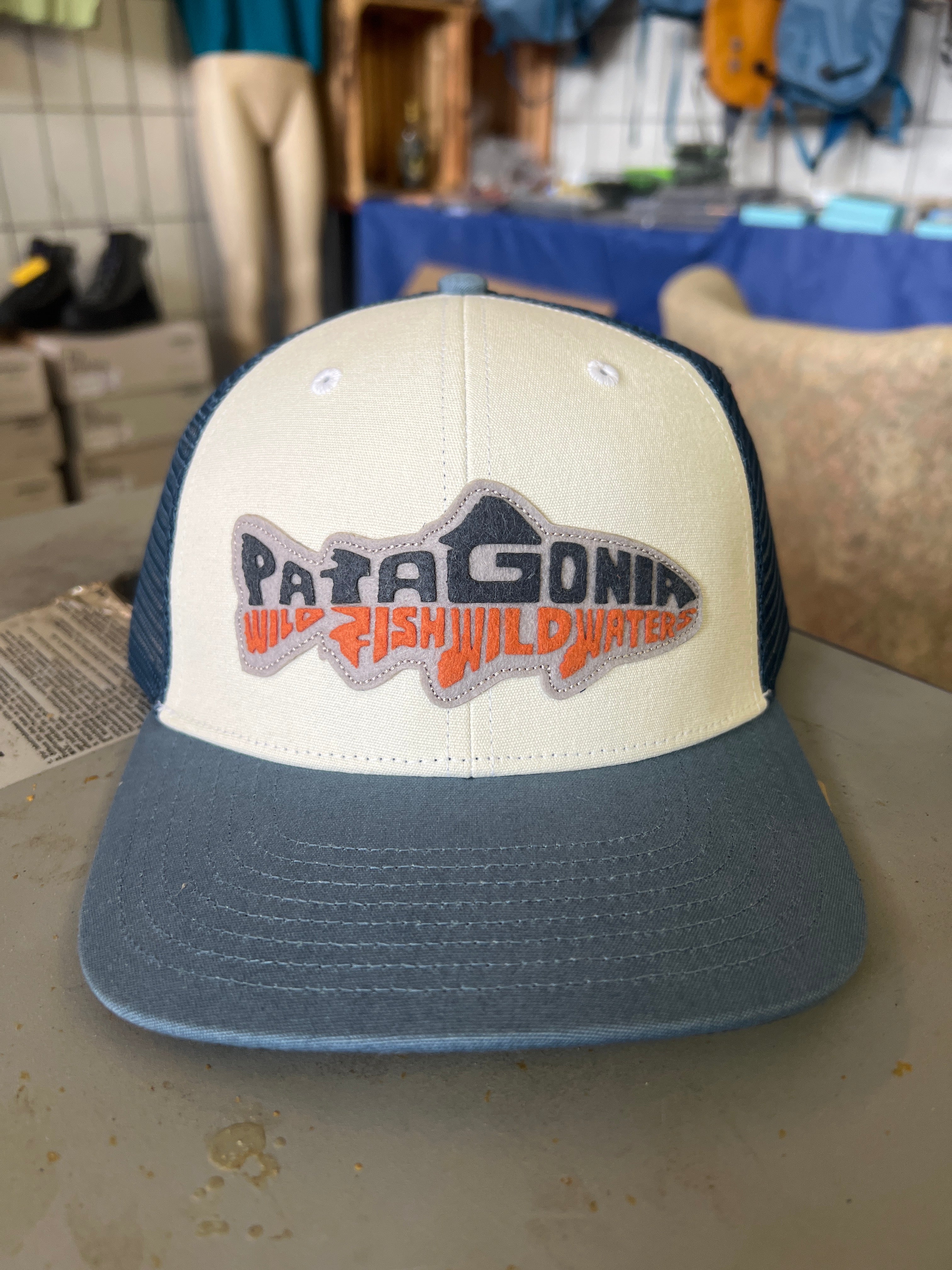 Patagonia Take a stand Trucker Hat